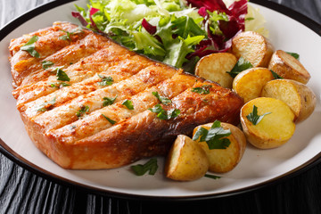 grilled swordfish with a side dish of fried potatoes and fresh salad close-up on a plate. horizontal