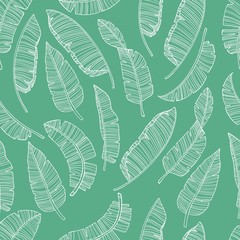 Seamless pattern with banana leaves. Simple pencil drawing. Manual graphics. Stylish vintage illustration. Design wallpaper, fabrics, postal packaging. Illustration for your design