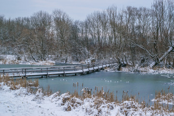 Teich im Winter