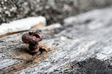 rusted screw