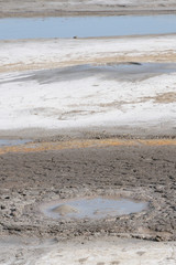 Schlammvulkane; Vulcanii noroiosi; Berca; Rum&auml;nien; Romania