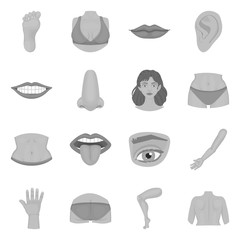 Isolated object of body and part logo. Collection of body and anatomy vector icon for stock.