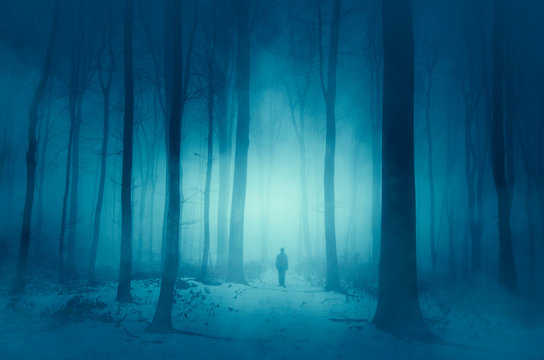 man walking on magical winter snowy path in forest