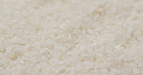 Paddy rice in pile