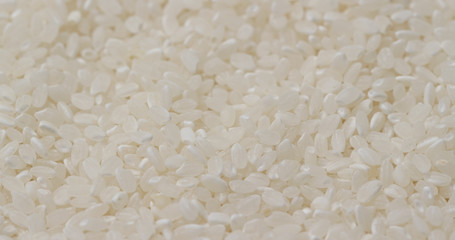 Paddy rice uncooked