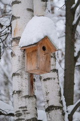 Birdhouse on a tree under the snow.