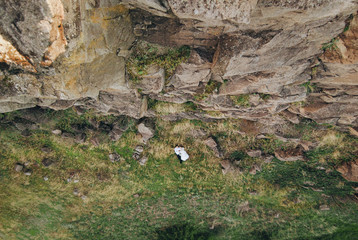 Newlyweds in love lie on the green grass, next to stones and rocks. Wedding photography. Inverted photo. Minimalism.
