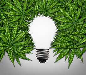 Hemp | Environmental Benefits Hemp is the solution for a sustainable future