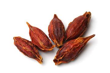 クチナシの実 白背景 © arancio