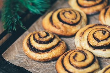 Cinnamon rolls on Christmas baking on wooden table c fir branches