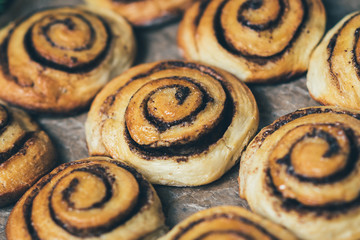 Cinnamon rolls on Christmas baking on wooden table c fir branches