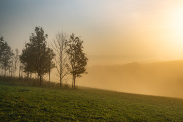 Fototapeta na wymiar Sunrise over fields