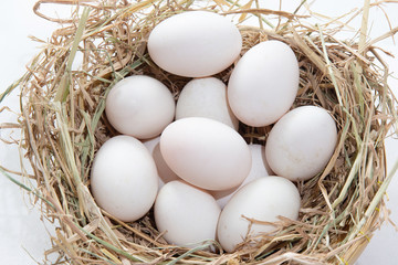Easter eggs background. holiday, easter background. fresh eggs on the Straw floor.Eggs on a nest . ingredient of cuisine and dessert.