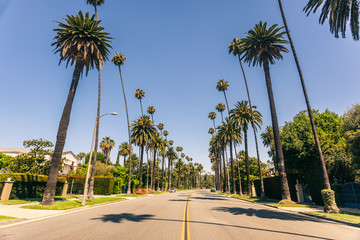 Beverly Hills street - Powered by Adobe