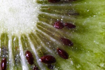 Slice of fresh kiwi fruit, macro background