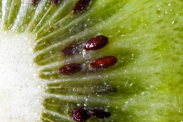 Slice of fresh kiwi fruit, macro background