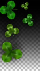 Vector Clover Leaf  Isolated on Transparent Background with Space for Text. St. Patrick's Day Illustration. Ireland's Lucky Shamrock Poster. Invintation for Concert in Pub. Top View. Success Symbols.