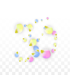 Vector Realistic Colorful Petals Falling on Transparent Background.  Spring Romantic Flowers Illustration. Flying Petals. Sakura Spa Design. Blossom Confetti. Design Elements for Wedding Decoration.