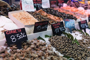 Barcelona market of the boqueria