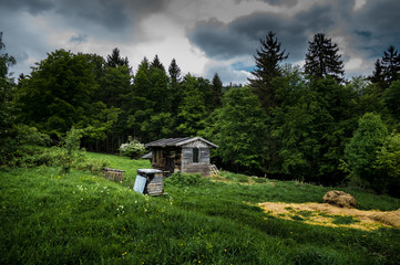 Jagdhütte auf einer Bergwiese im Thüringer Wald  