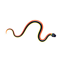 Isolated object of poison and evil logo. Collection of poison and bite vector icon for stock.