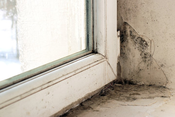 Mold on the slope near the window