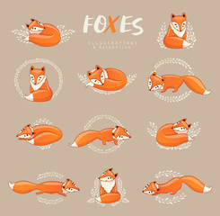 Cute cartoon foxes.