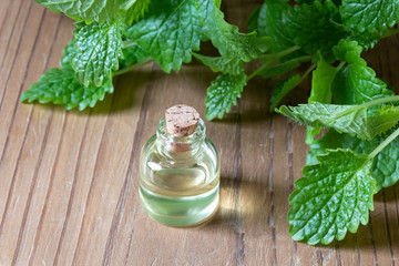 A bottle of melissa essential oil with melissa twigs