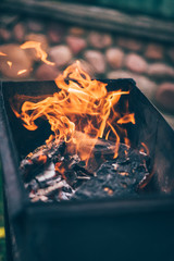 Bonfire, wood fire flame heat spires burning in barbecue grill fireplace.