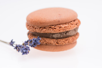 brown  macarons and lavender