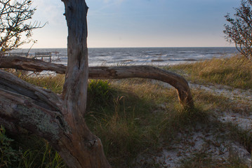Fototapeta premium Norwegen