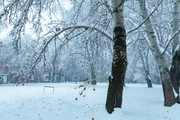 Winter morning in small park