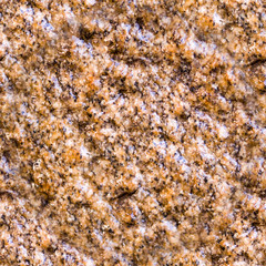 seamless wet beige cave granite wall texture. background, geological.
