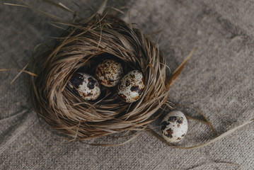 quail eggs