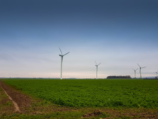 A bike lane, a green field and wind mills in the back before the blue sky