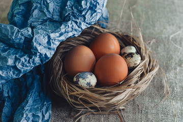 fresh chicken and quail eggs