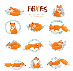 Cute cartoon foxes.