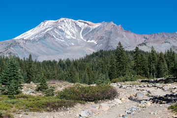 Fototapeta na wymiar Mount Shasta dormant volcano with snow cap