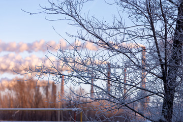 Magnitogorsk. Nature and pollution. Hoarfrost on a tree and factory pipes.