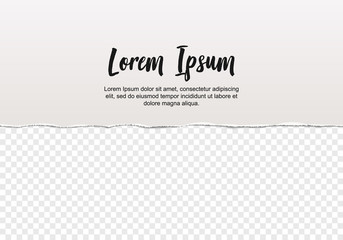 Piece of white torn paper with ripped deckled edges and shadow, vector illustration, abstract template.