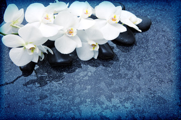 Naklejka na ściany i meble Spa background with white orchid and black stones.