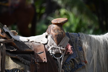 An old mexican leather saddle.