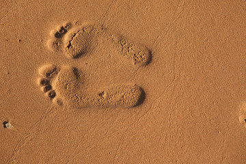 Fototapeta na wymiar Imprints of footsteps