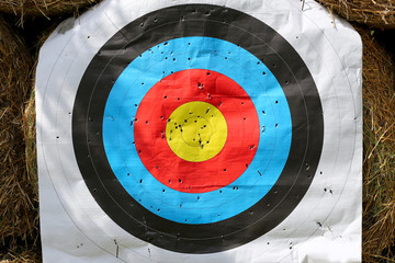 Practice target face with lot of shots. Used archery target on position at archery range summertime open air outdoors