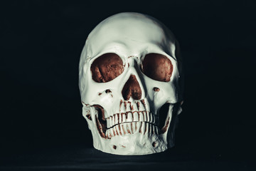 skull in the dark