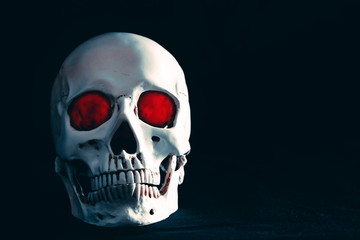 skull in the dark