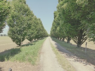 Campagna a Sud di Milano (Lombardia)