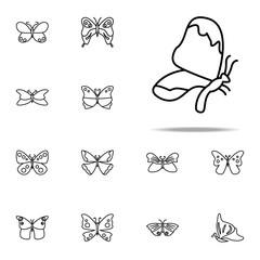 butterfly icon. butterfly icons universal set for web and mobile