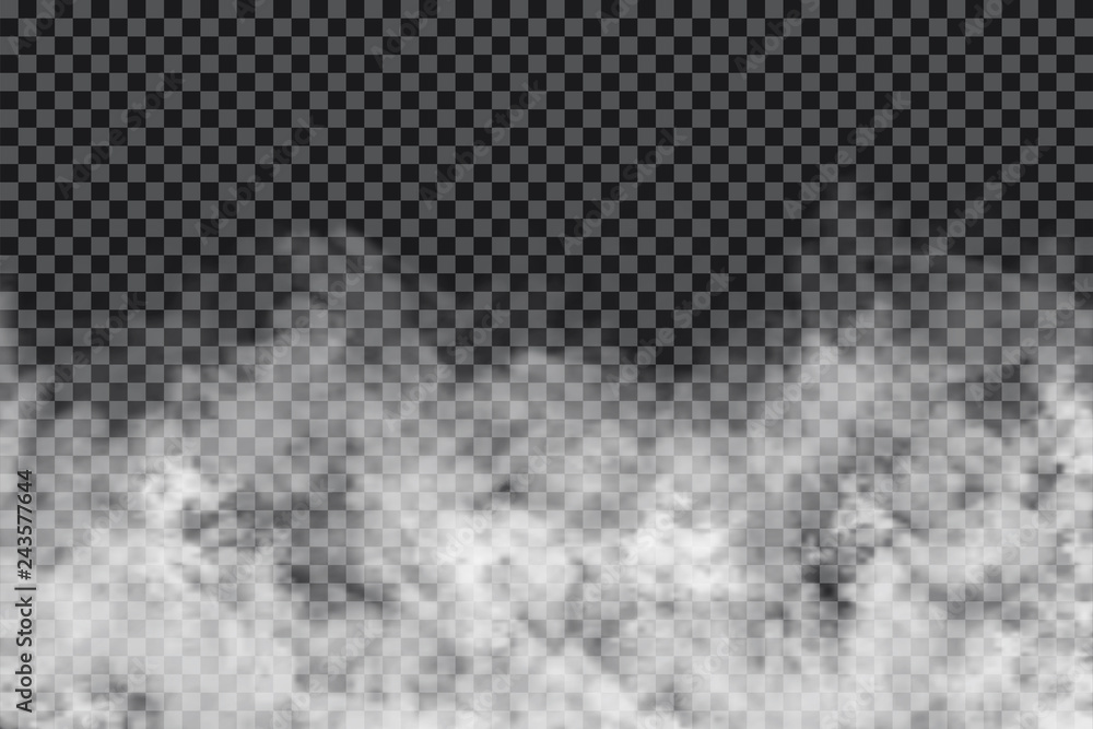 Wall mural smoke clouds on transparent background. realistic fog or mist texture isolated on background. transp
