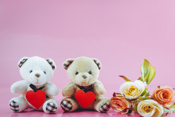 Lovely couple bear hold heart with pink background, valentine concept